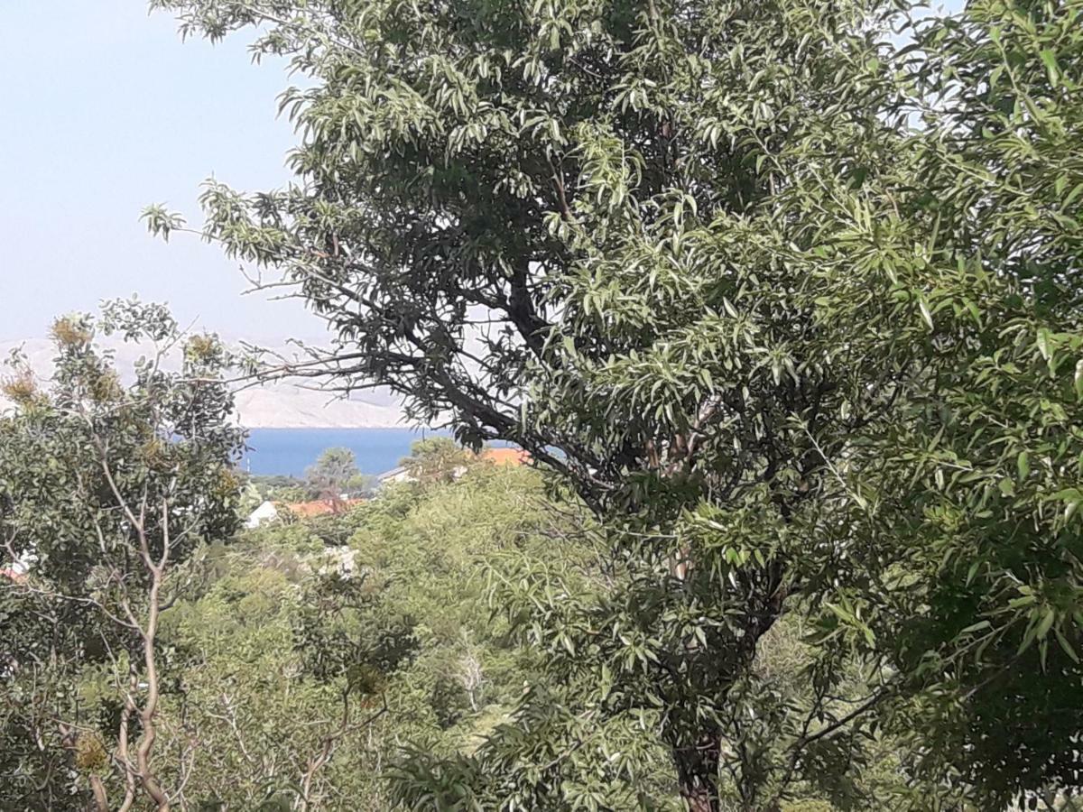 Apartment Tin Senj  Bagian luar foto